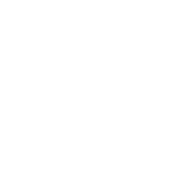 uiux service