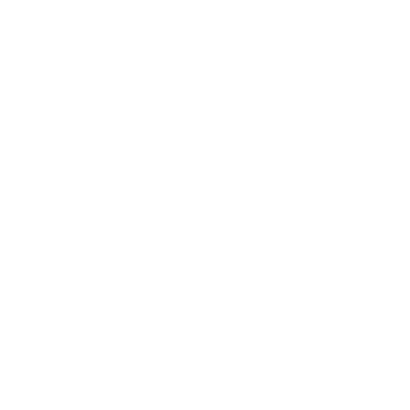 wordpress service